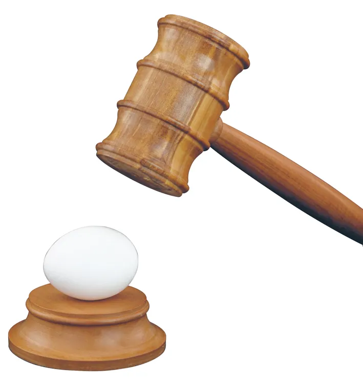 System sądownictwa w Polsce: za młodzi, by orzekać