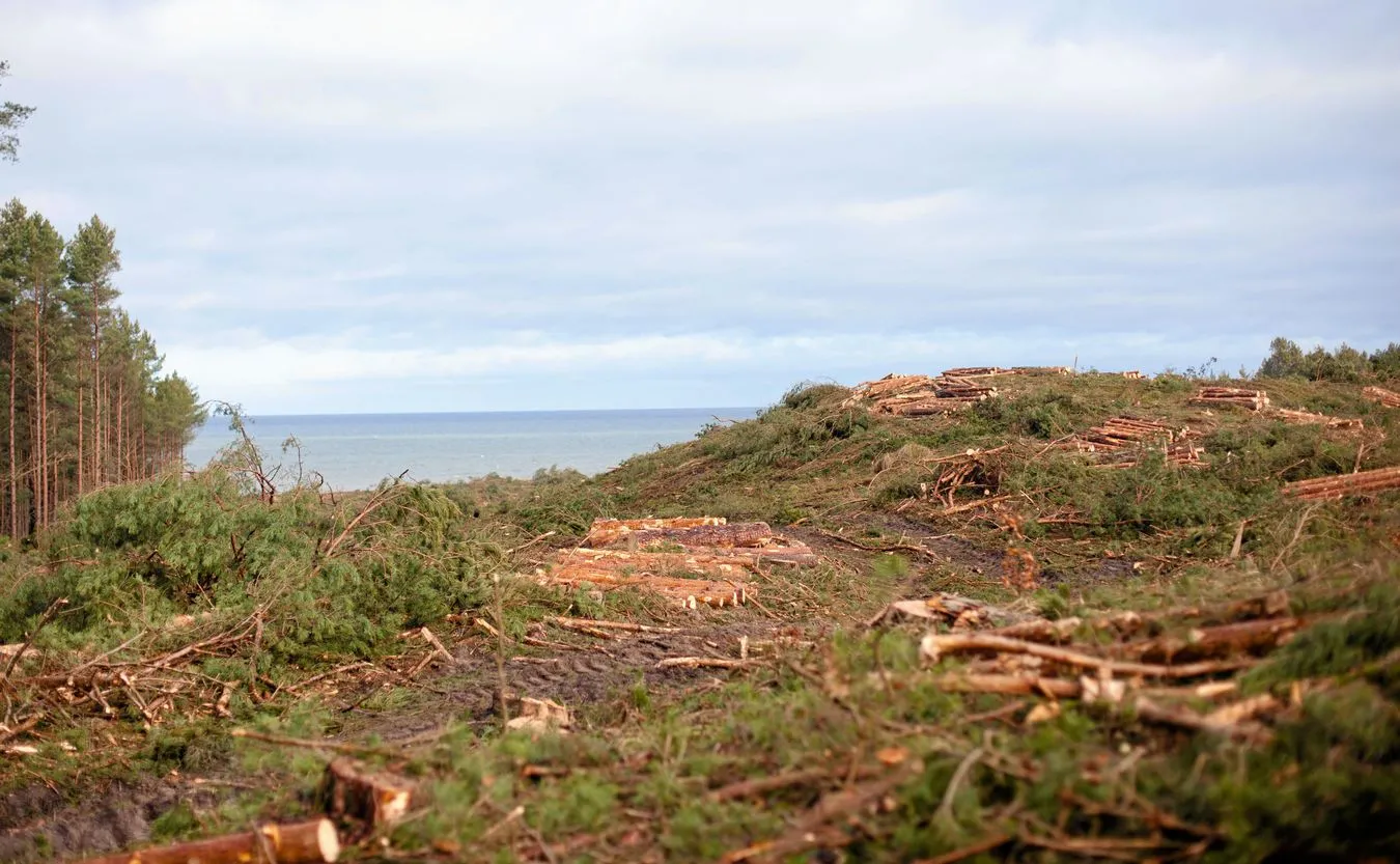 UE zablokuje przekop Mierzei Wiślanej? Źródło KE: Polska nie powinna podejmować żadnych prac do czasu decyzji
