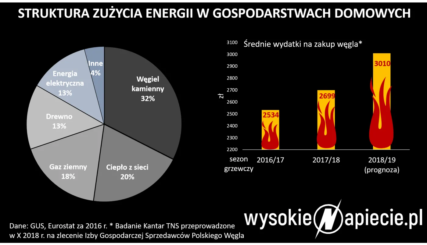 Sąsiad dymi? Oto główne błędy domowego palenia