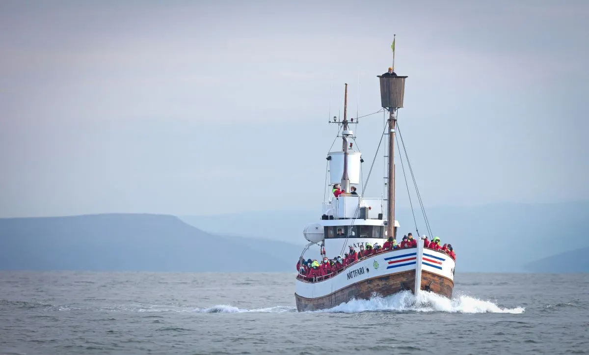 Islandia chce zakończyć połowy wielorybów od 2024 roku