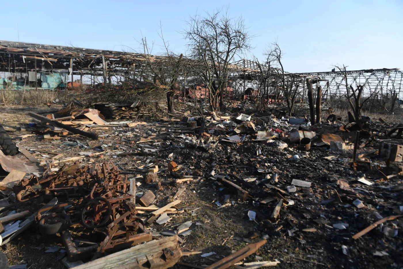 Media: Niemcy mają udziały w lotnisku Pułkowo wykorzystywanym przez Rosjan w działaniach wojennych