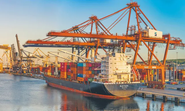 Chiński przyczółek w gdyńskim porcie pod większą kontrolą