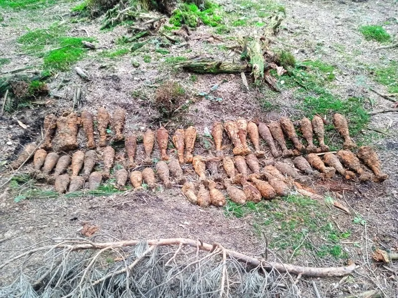 Znalezione niewybuchy na S19