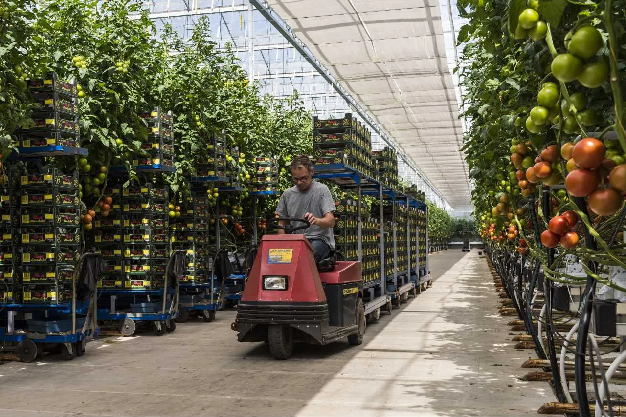 Dlaczego Polacy emigrują? Jest jeden główny powód. Dotyczy wybranych krajów