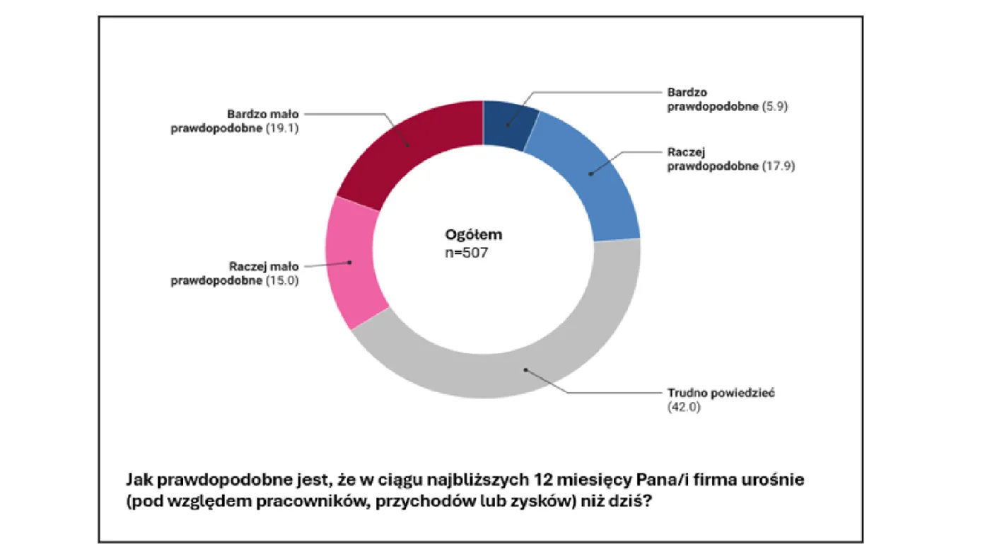 Jakie jest zdaniem przedsiębiorcy prawdopodobieństwo, że jego firma nie urośnie w ciągu najbliższych 12 miesięcy