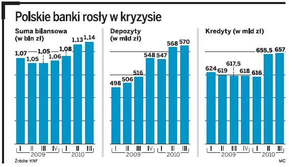 polskie_banki_rozly_w_kryzysie_286606.jpg