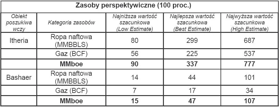 364961-zasoby-perspektywiczne-100-proc.jpg