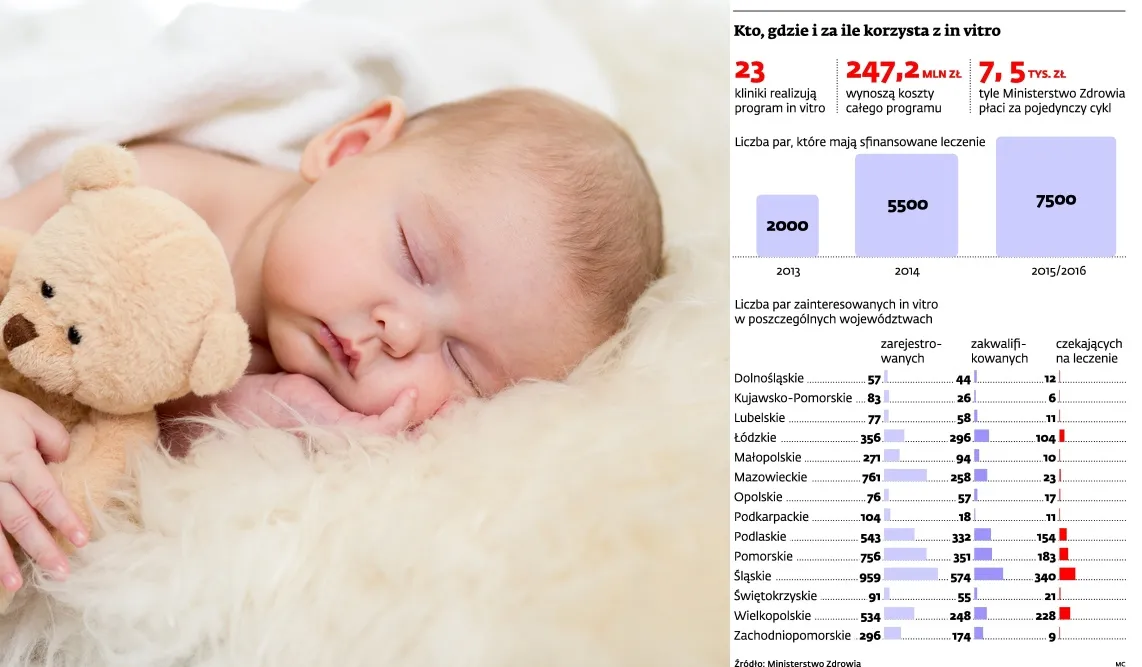 Kliniki in vitro: są już pierwsze ciąże z rządowego programu