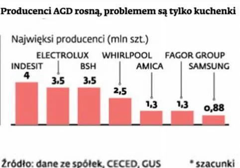 1655892-producenci-agd-rosna-problemem.jpg