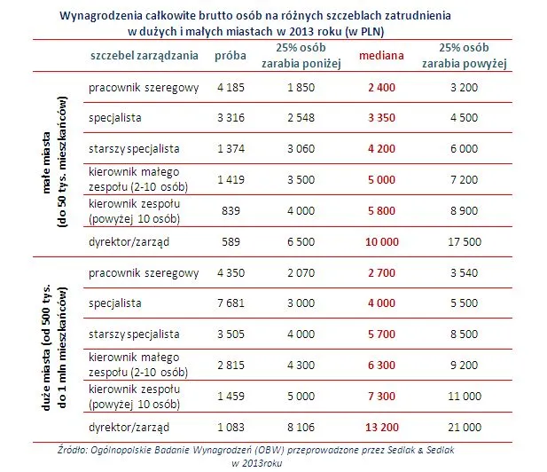Wynagrodzenia całkowite brutto osób na różnych szczeblach zatrudnienia  w dużych i małych miastach w 2013 roku (w PLN)