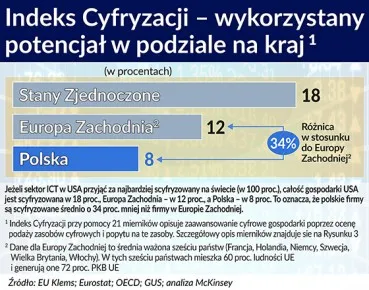 2643873-indeks-cyfryzacji-wykorzystany.jpg