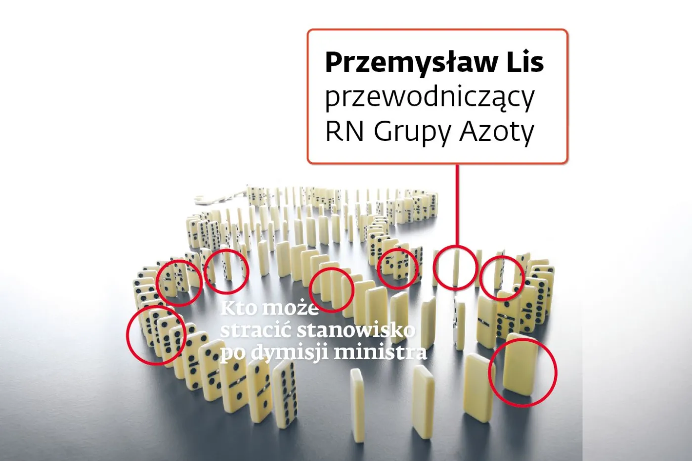 2667306-domino-jackiewicza-przemyslaw.jpg