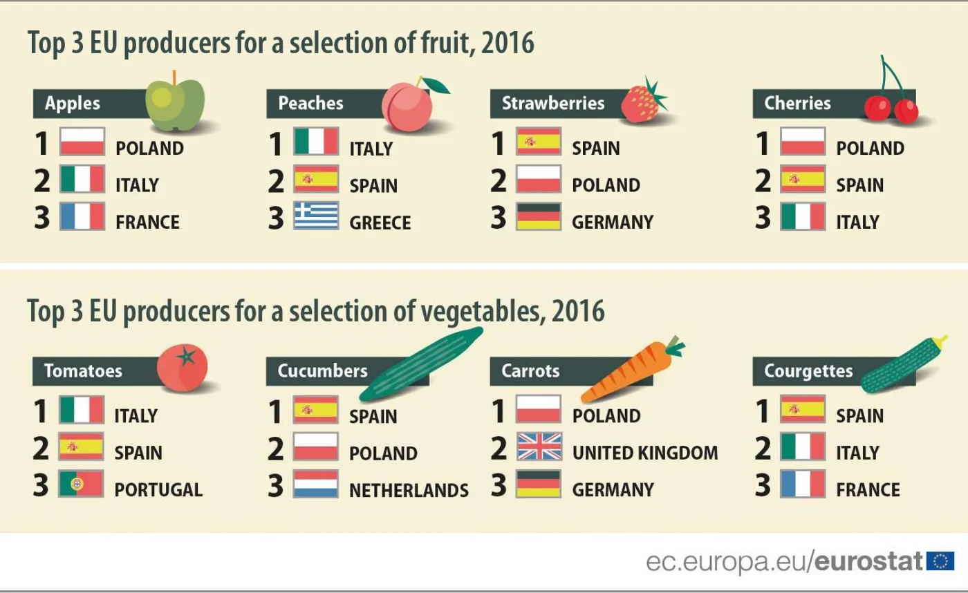 Polska rolniczym potentatem. Oto państwa, które produkują najwięcej owoców i warzyw w UE