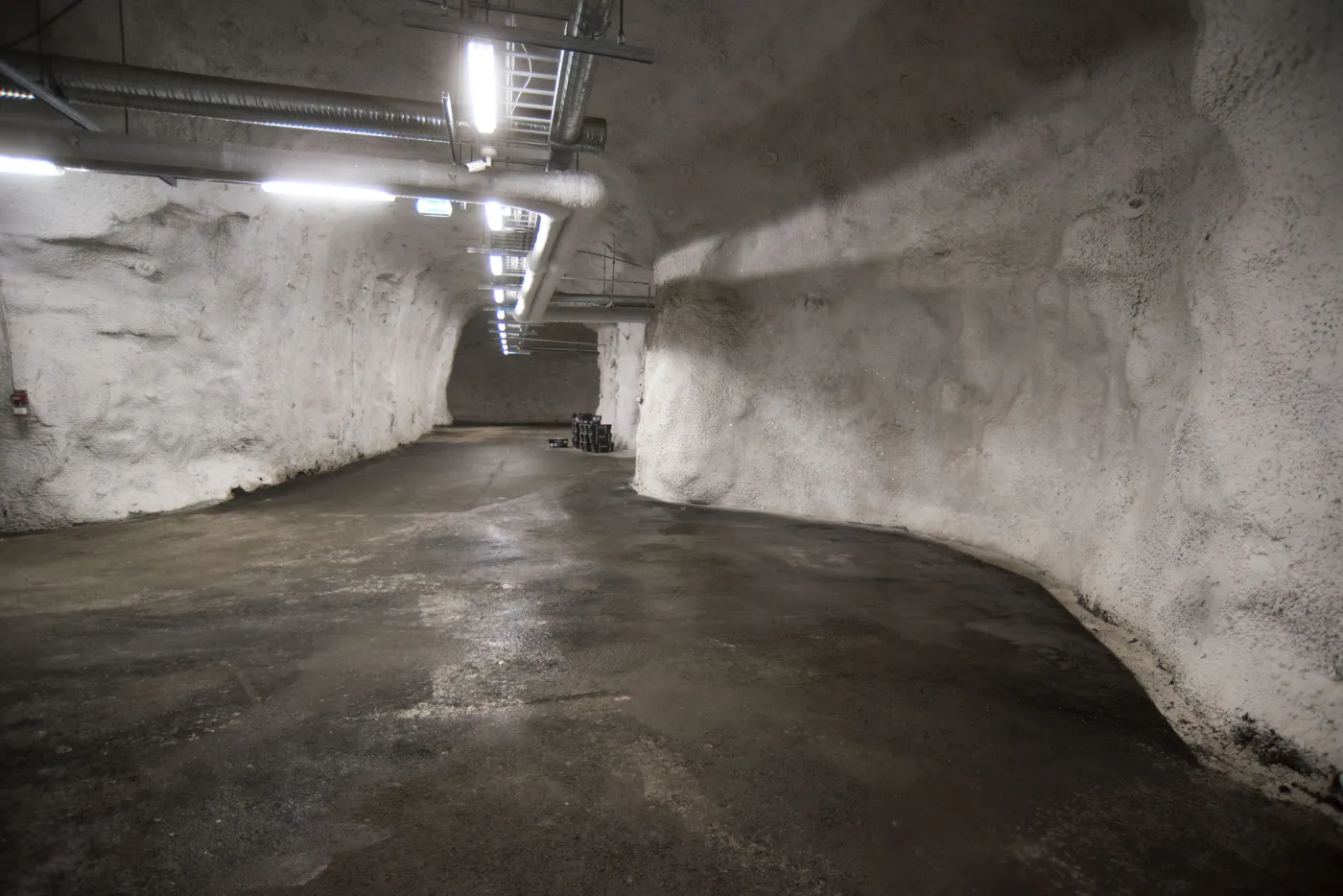 3279753-globalny-bank-nasion-svalbard.jpg