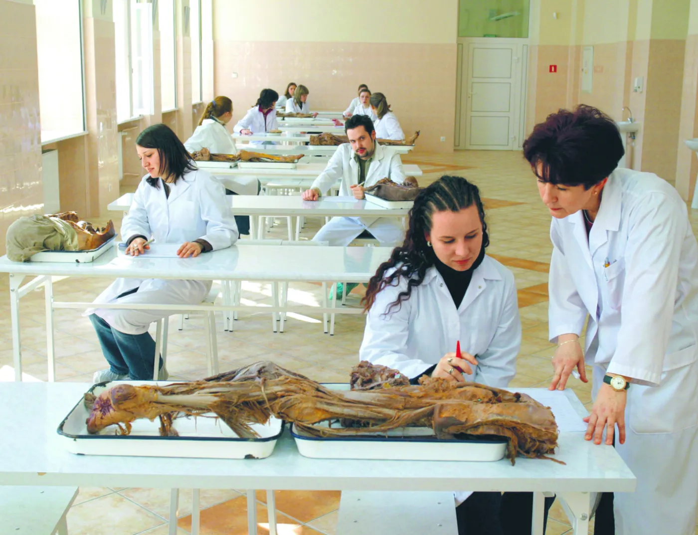 Studenci kierunków lekarskich uczący się w Ukrainie mogą kontynuować naukę w Polsce