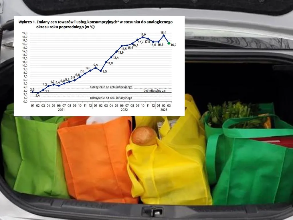 Inflacja w marcu 2023, wykres: GUS