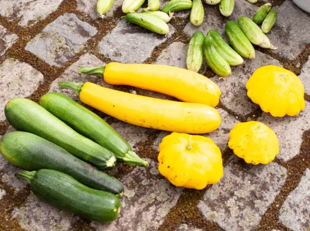 Owoce i warzywa będą tańsze? Ekspert: Ceny w hurcie w najbliższych miesiącach spadną