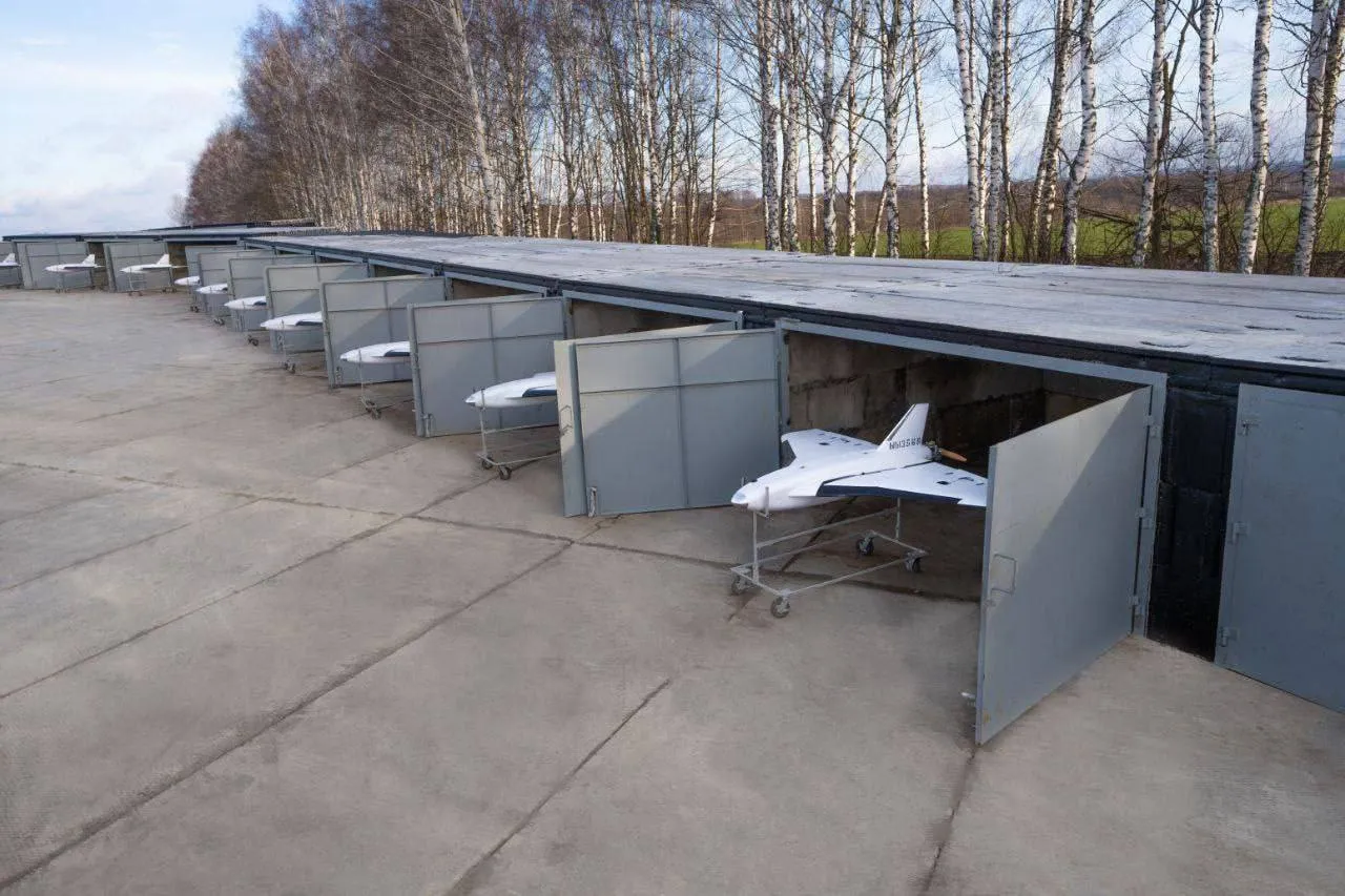 Gebera/zdj. z platformy Telegram