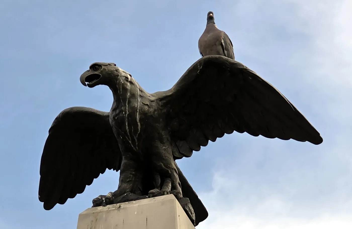 Wybory prezydenckie i ekonomia: „Polska Karola Nawrockiego jest gorzej wykształcona, mało zarabia i wytwarza tylko jedną czwartą PKB”