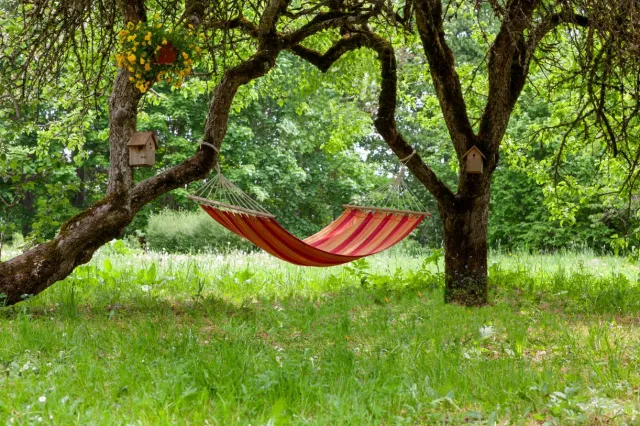 Jeszcze możesz skorzystać. Pracodawca musi udzielić pracownikom tych 2 dni wolnego. Jeśli nie, grozi mu grzywna. Dlaczego?