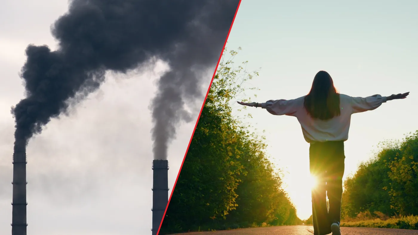 wchodzi w życie podatek węglowy