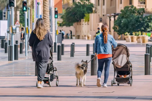 Tak źle nie było od 1946 roku. Niemcy mają poważny problem