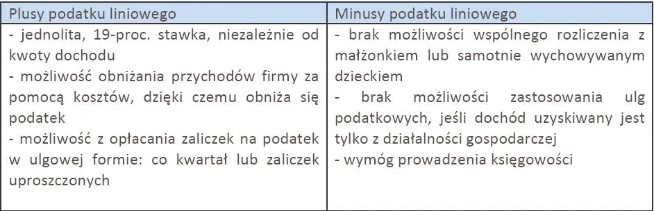 711004-plusy-i-minusy-podatku-liniowego.jpg
