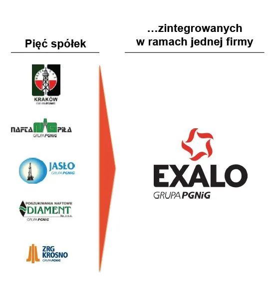 1198227-jakie-spolki-wejda-w-sklad-exalo.jpg