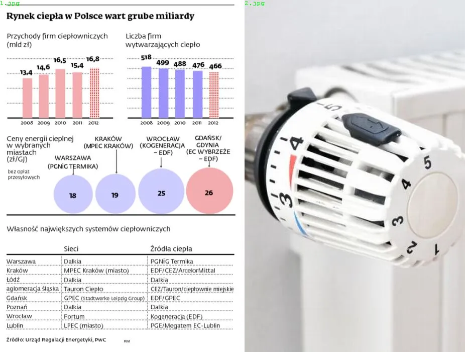 Rynek ciepła w Polsce: branża ma się dobrze nawet w czasie upałów