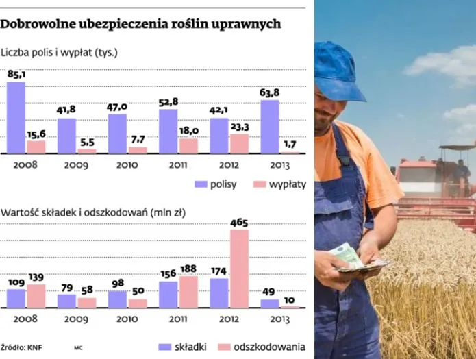 Ubezpieczenia rolnicze są mało popularne, ponieważ rząd ogranicza dotacje