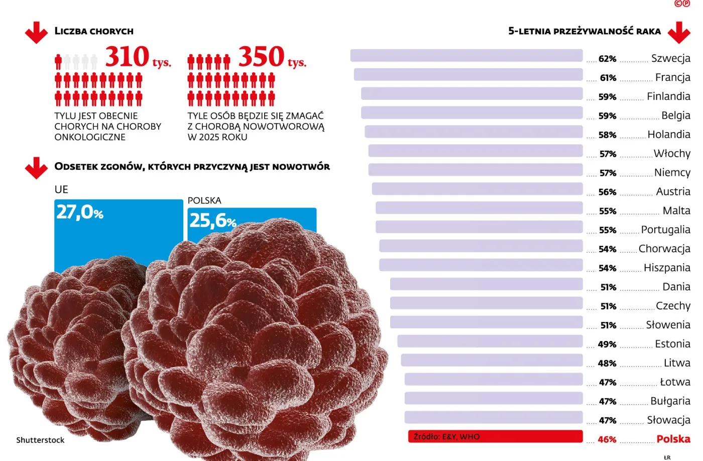 2334764-liczba-chorych-na-raka-i-odsetek.jpg