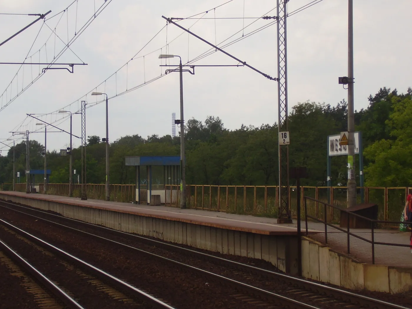 Wesoła
