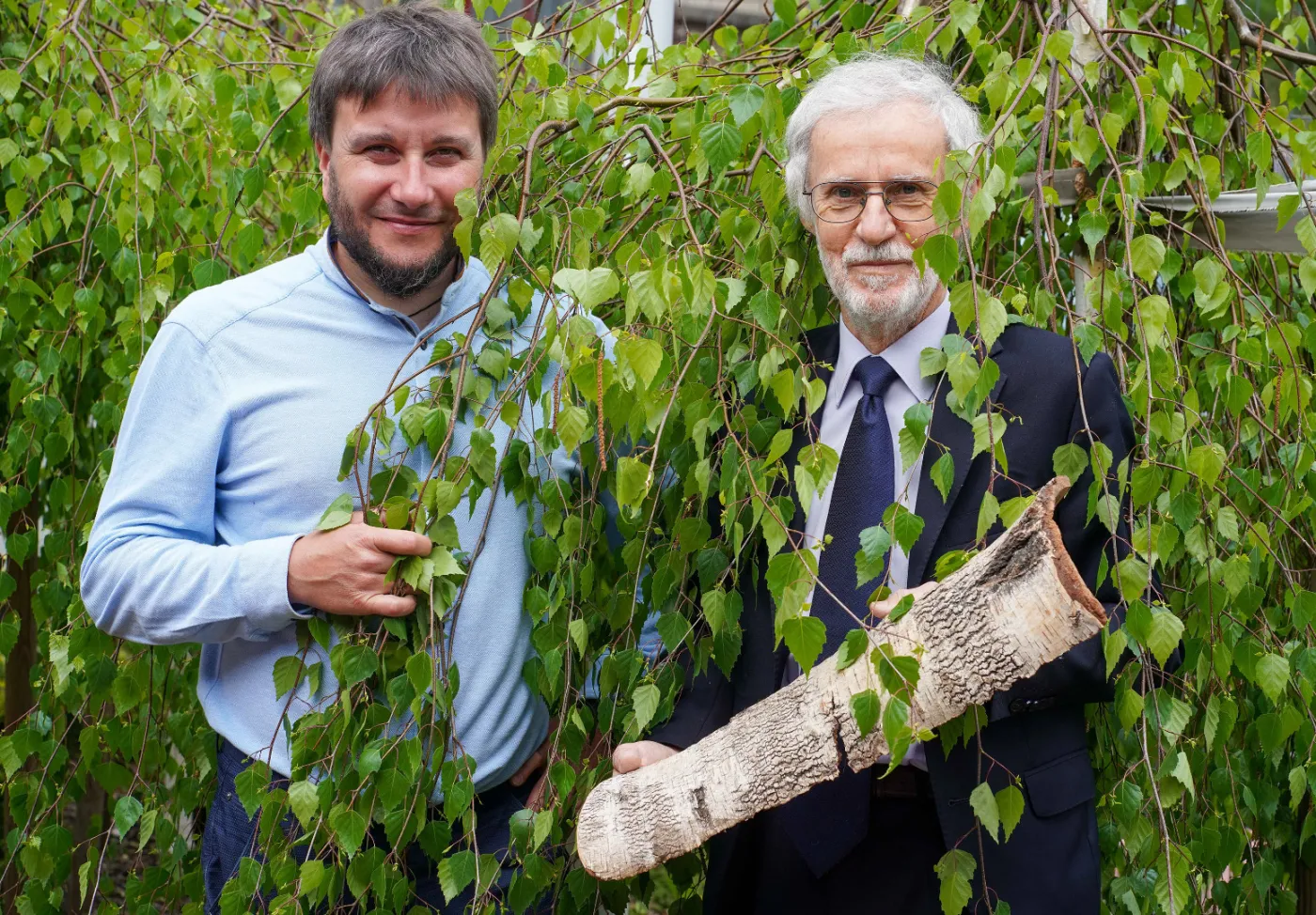 Eureka: Plastik z dodatkiem brzozy pomoże leczyć rany [EUREKA DGP]