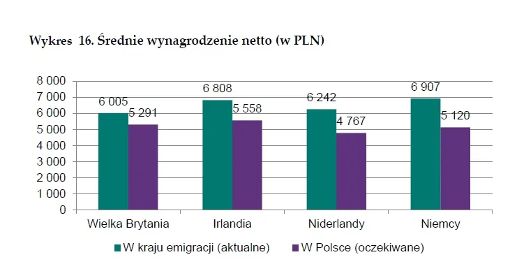 3541927-srednie-wynagrodzenie-migrantow.jpg