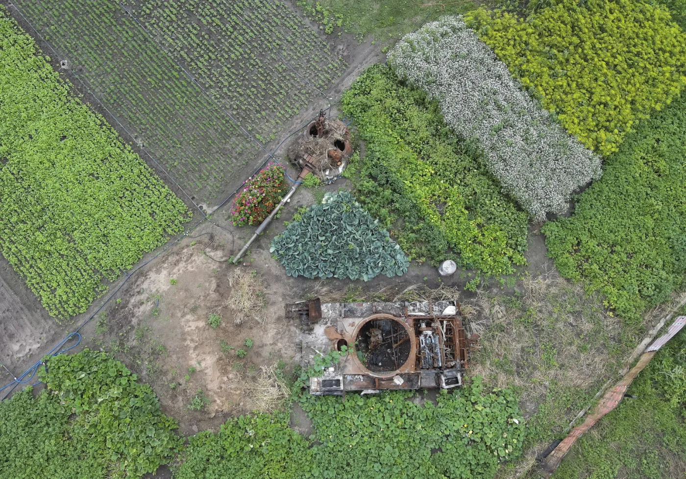 Ukraina przejmuje inicjatywę w wojnie z Rosją [RAPORT ISW]