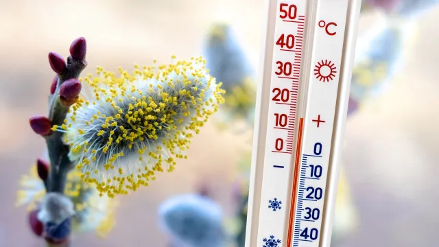 Nadchodzą chłodne dni. IMGW wydał ostrzeżenia przed przymrozkami i silnymi opadami śniegu