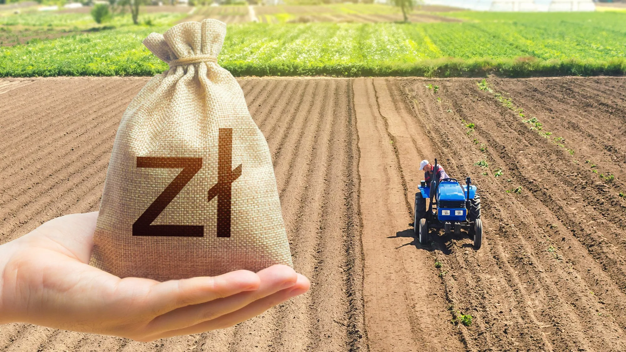 Dofinansowania dla rolników w 2026: najczęstsze błędy we wnioskach i jak ich unikać [Wywiad]