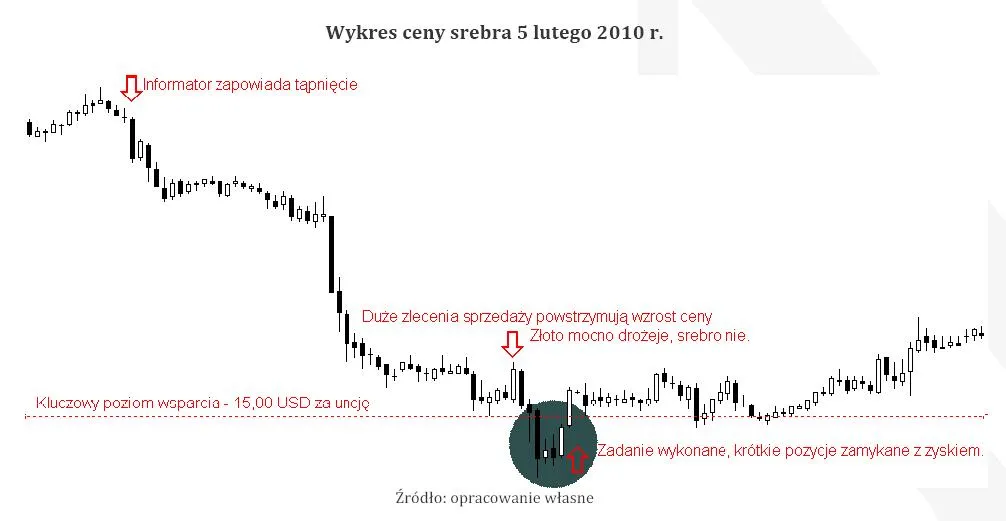 wykres_ceny_srebra_z_5_lutego_2010_r_282582.jpg
