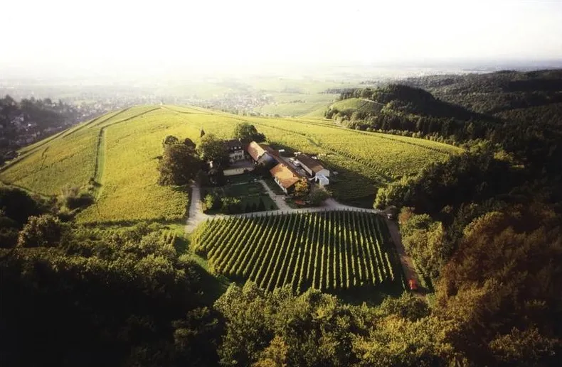 Własna winnica za kilka milionów euro