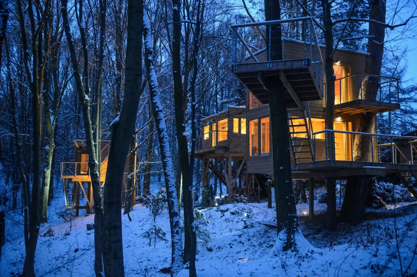 Pierwszy taki hotel w Polsce. Apartamenty na... drzewach [ZDJĘCIA]