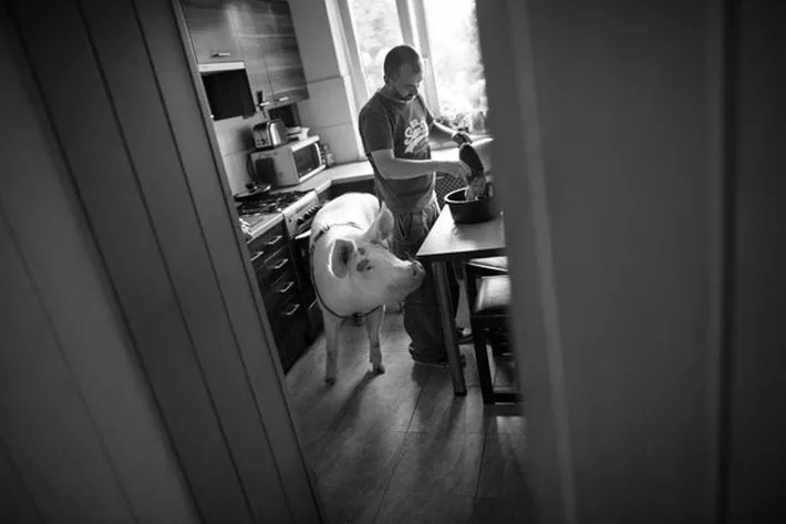 Grand Press Photo 2016 -   Fotoreportaż - II miejsce w kategorii ŻYCIE CODZIENNE  