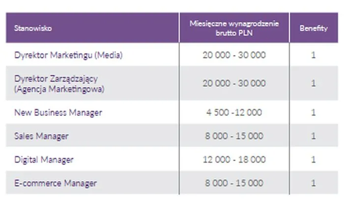 Sprzedaż i marketing (Internet/Media/E-commerce)
