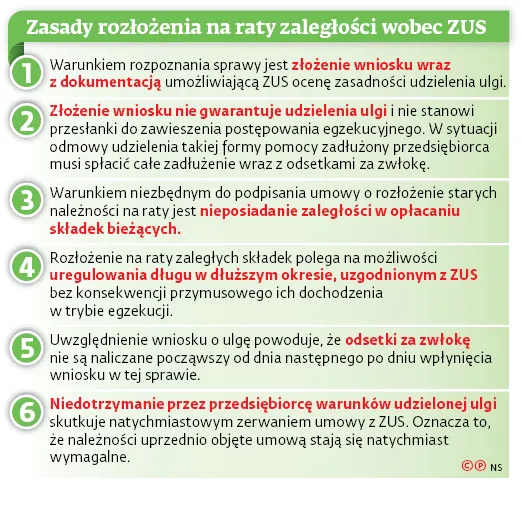 3067430-zasady-rozlozenia-na-raty-zaleglosci.jpg