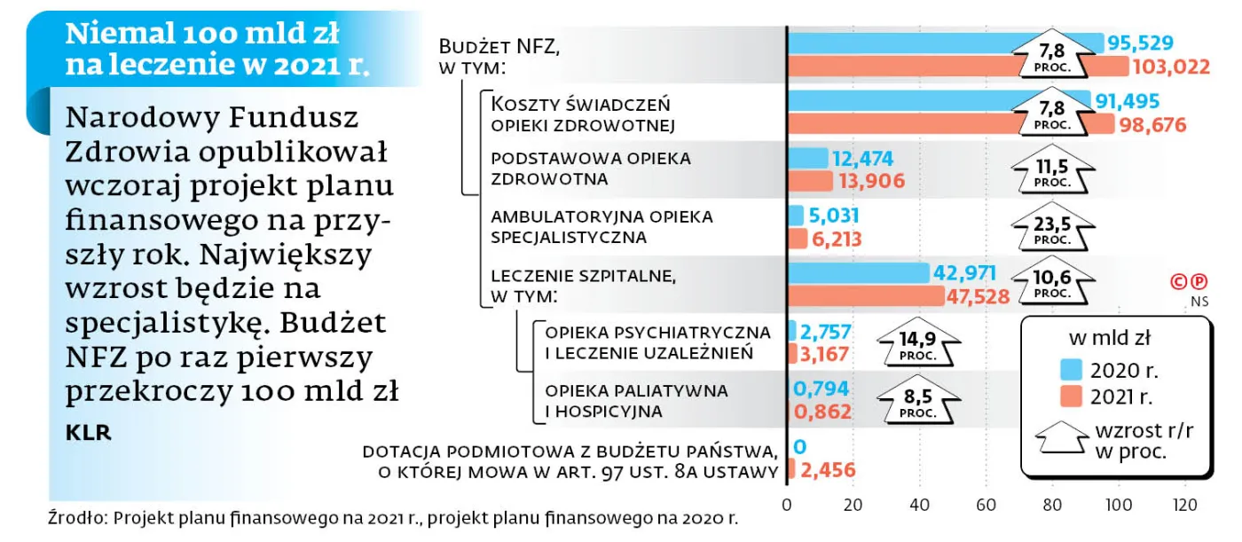 4624491-u7671b-graf-20a4-20budzet-20nfz-20-c-p.jpg