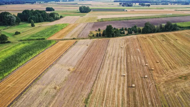 Rolnicy będą mogli zagospodarować ugory w Polsce. Chodzi o bezpieczeństwo żywnościowe w UE