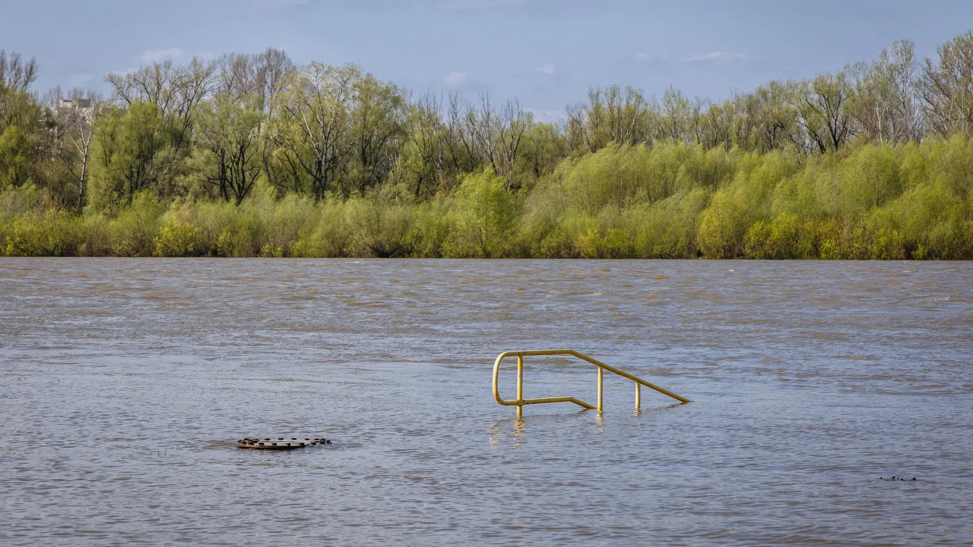 Tysiące śniętych ryb w Wiśle w Warszawie. " To kolejna katastrofa ekologiczna"