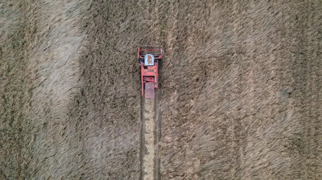 Ukraiński minister rolnictwa: Od początku wojny Rosjanie ukradli i wywieźli 500 tys. ton zboża