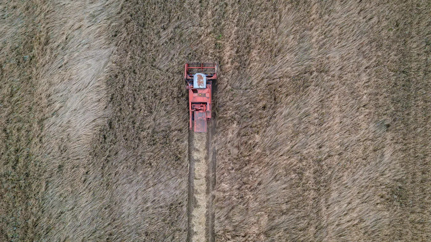 Nie tylko Indie zakazują eksportu żywności. Oto lista krajów i produktów