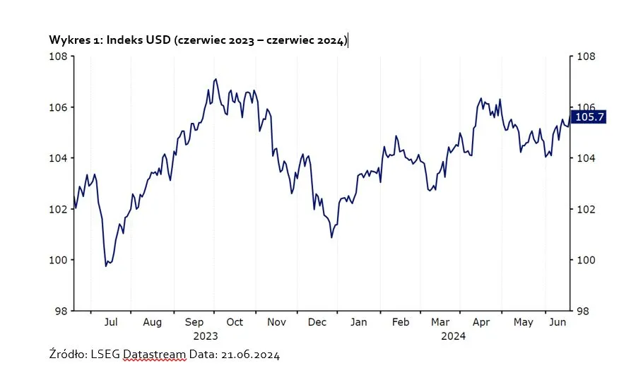 Indeks USD (czerwiec 2023 – czerwiec 2024)