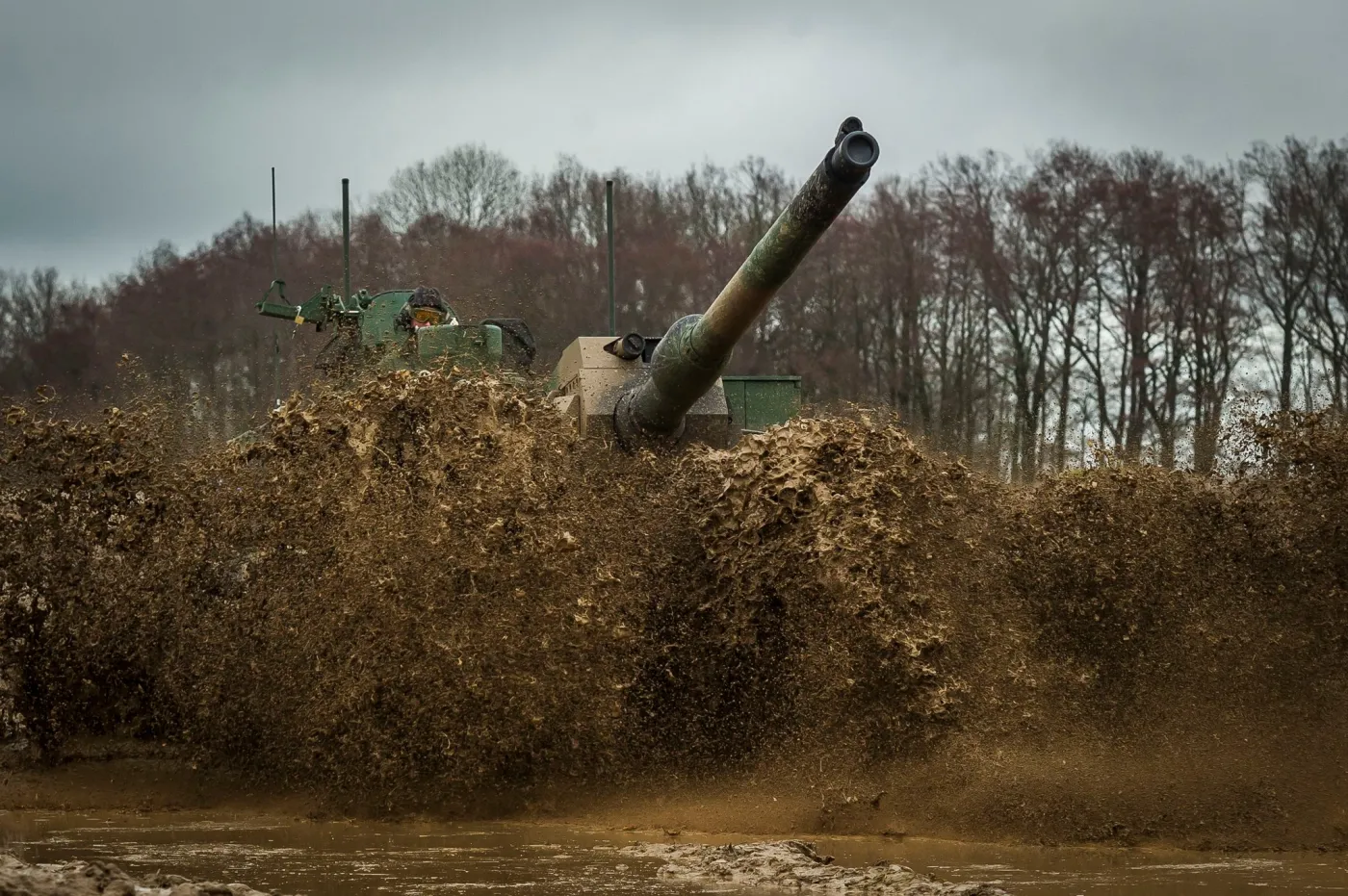 K2 z Braniewa, czyli koty w środowisku naturalnym. Czarne Pantery w polu